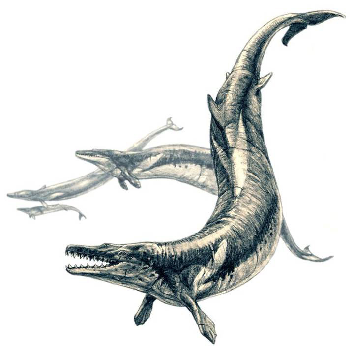 Pisces (February 19 - March 20): Basilosaurus (Image Credits: Wikimedia)