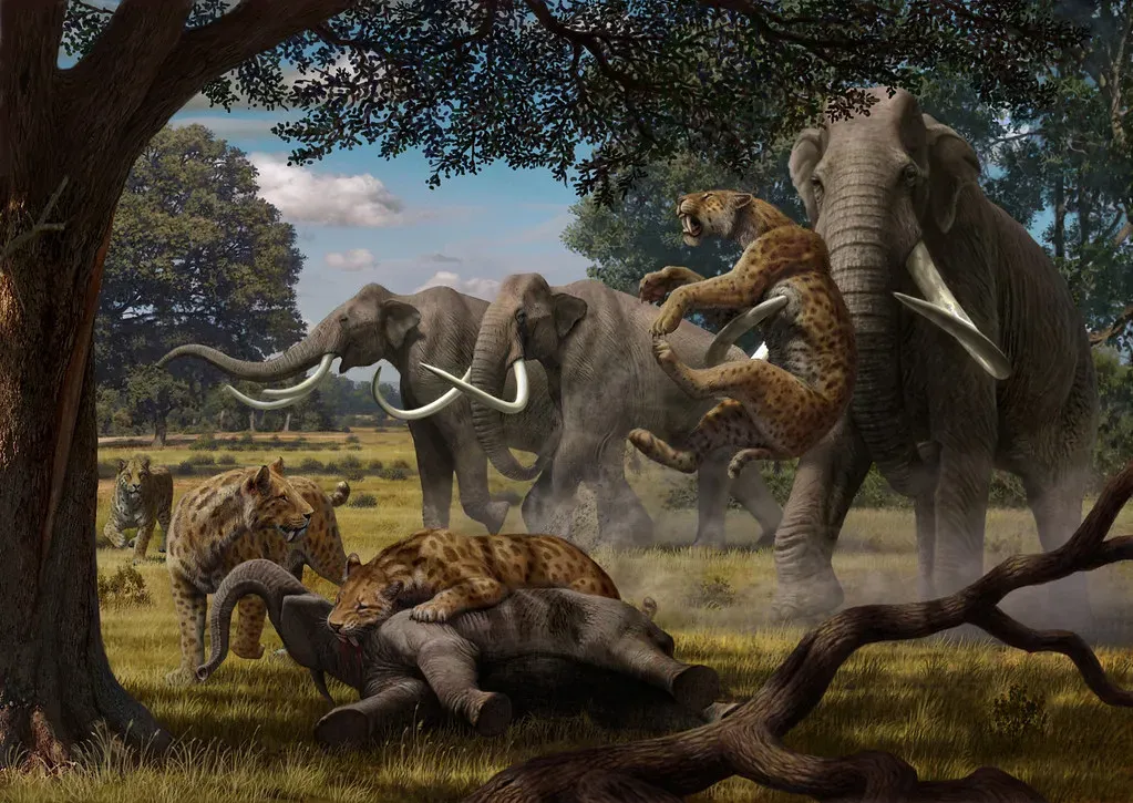 Predator versus prey: would a sabre-tooth see a mammoth as a meal or a teammate? (Oregon State University, Flickr, CC BY-SA 2.0)