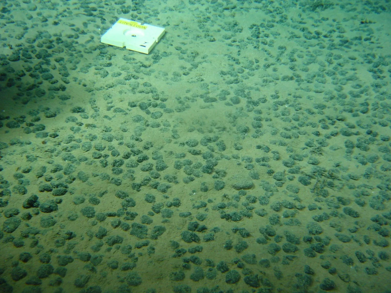 #13 - Some Seafloor Rocks Grow So Slowly It Breaks Human Intuition (Nodules polymétalliques observés lors de la campagne Nodinaut, CC BY 4.0)