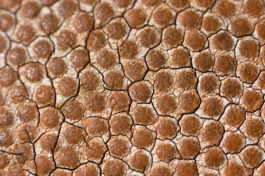 7. Eggshell Pores Hold Clues to Ancient Climate and Incubation (Image Credits: Unsplash)