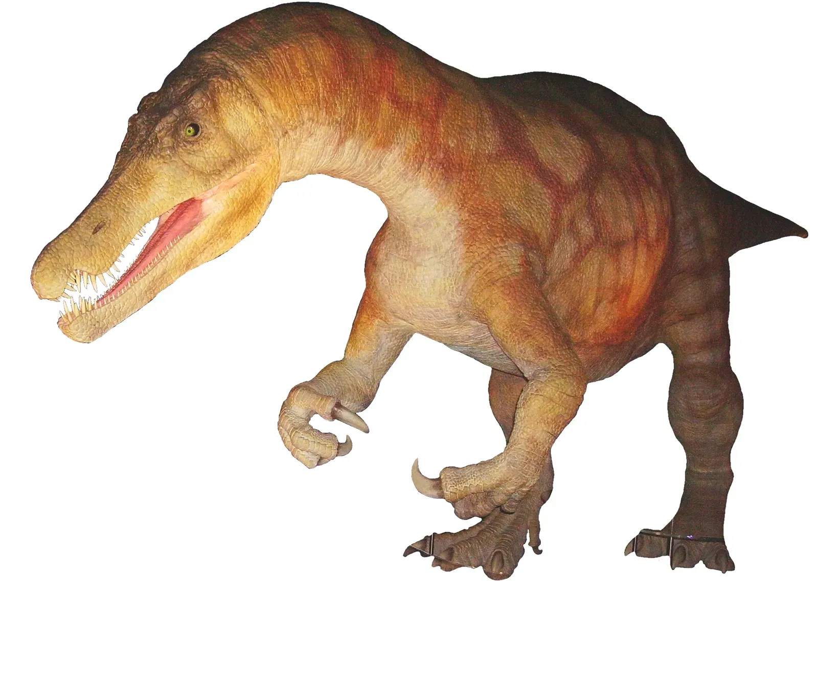 5. It Helped Redefine How We Imagine Carnivorous Dinosaurs (By Ballista, CC BY-SA 3.0)