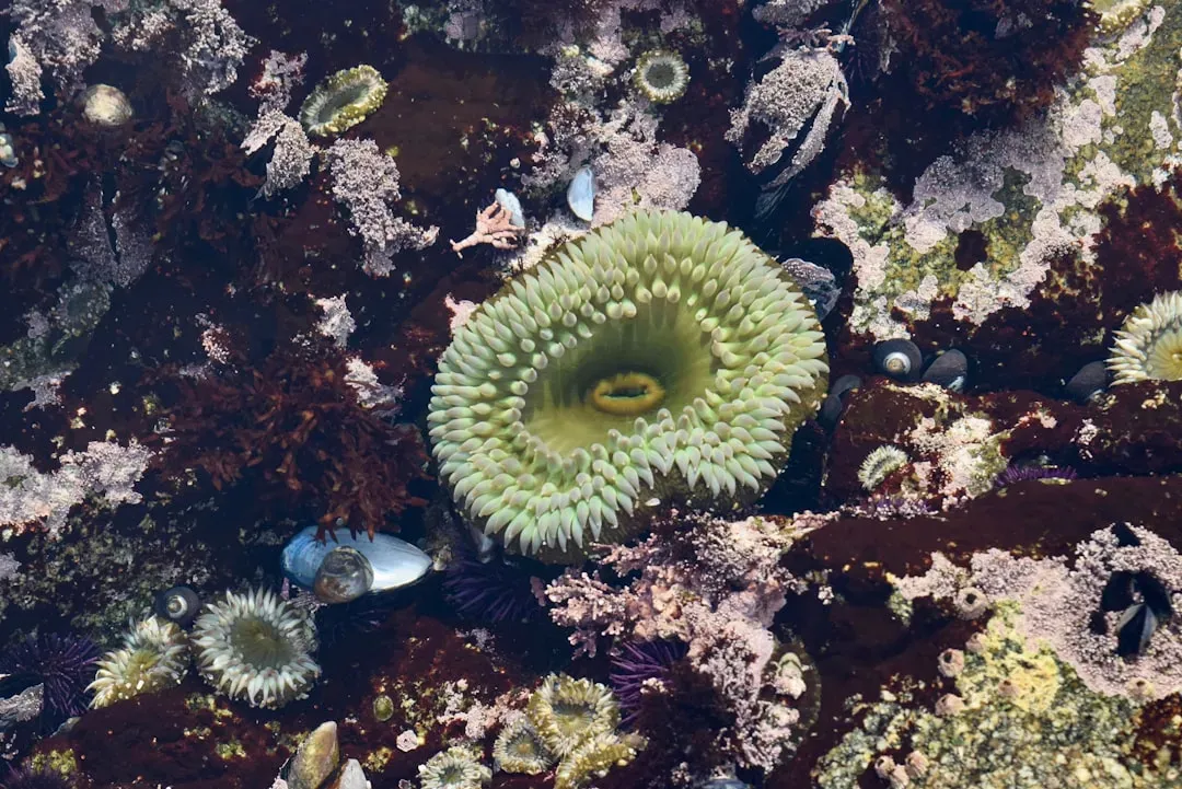 5. Niche Construction Theory: Organisms Build Their Own Evolution (Image Credits: Unsplash)