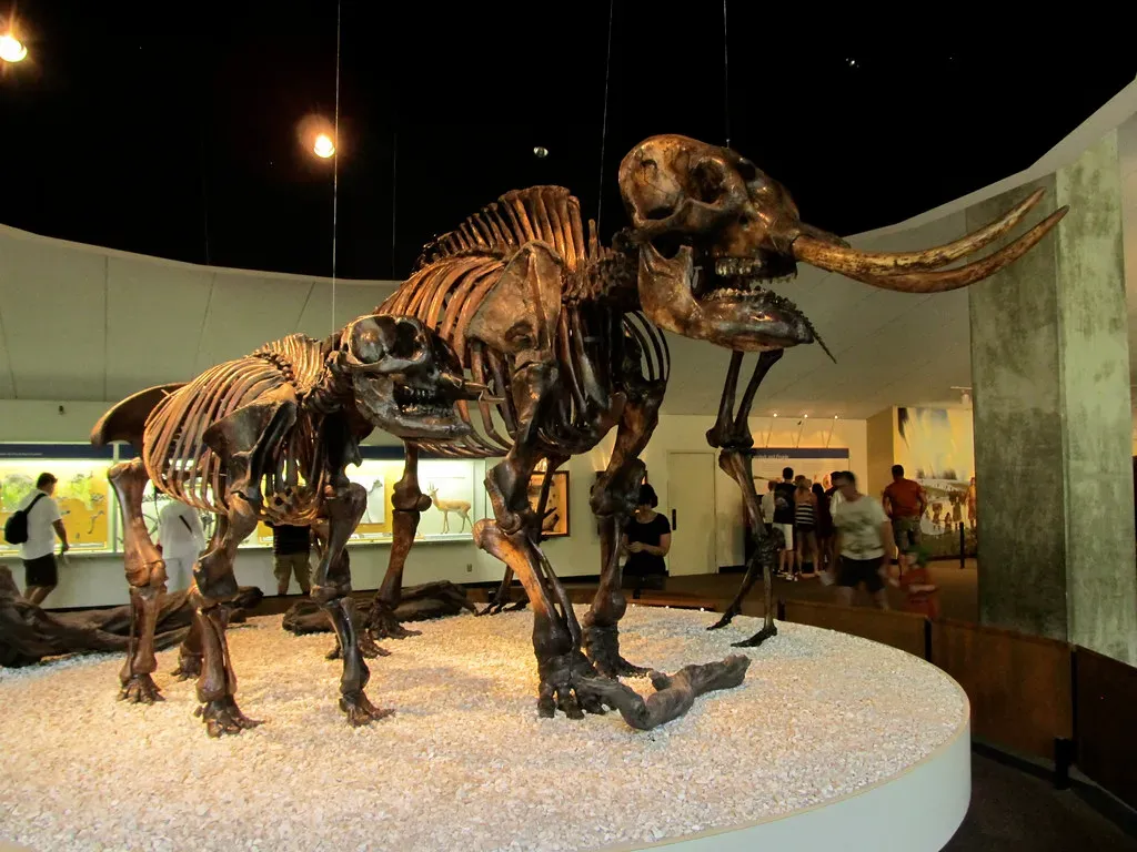 #3 - Mastodons Weren't Roaming the Frozen Arctic Steppe (daryl_mitchell, Flickr, CC BY-SA 2.0)
