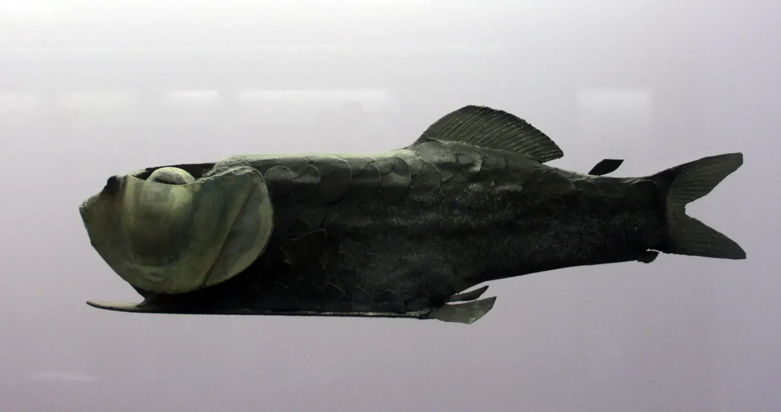 Gemini – The Shapeshifting Barreleye Fish (By Lusanaherandraton, CC BY-SA 4.0)