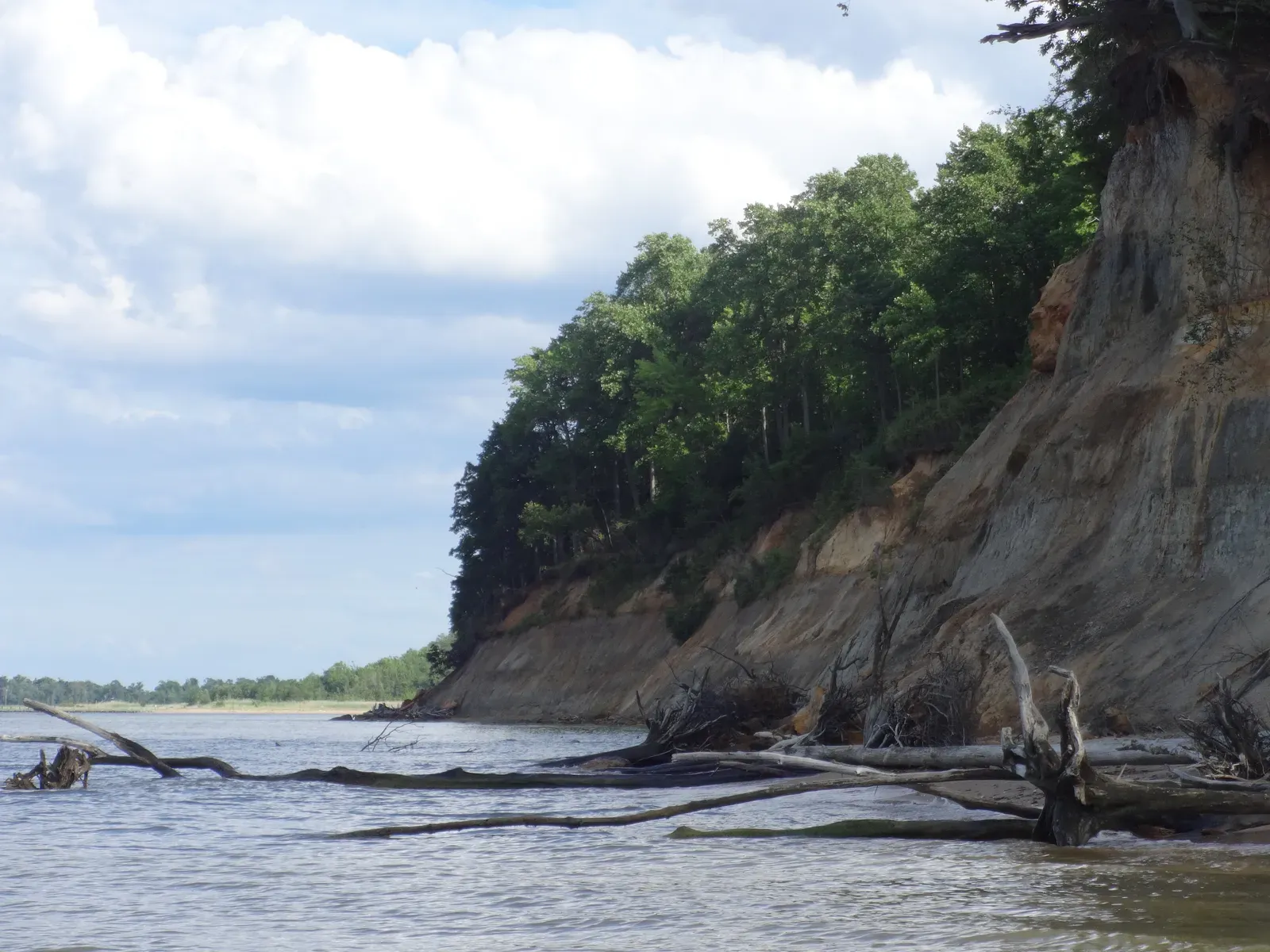 1. Calvert Cliffs, Maryland - Where Megalodon Hunted Whales (By Bohemian Baltimore, CC BY-SA 4.0)