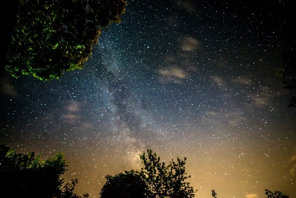 Nature, Exploration, and the Art of Paying Attention (Image Credits: Rawpixel)