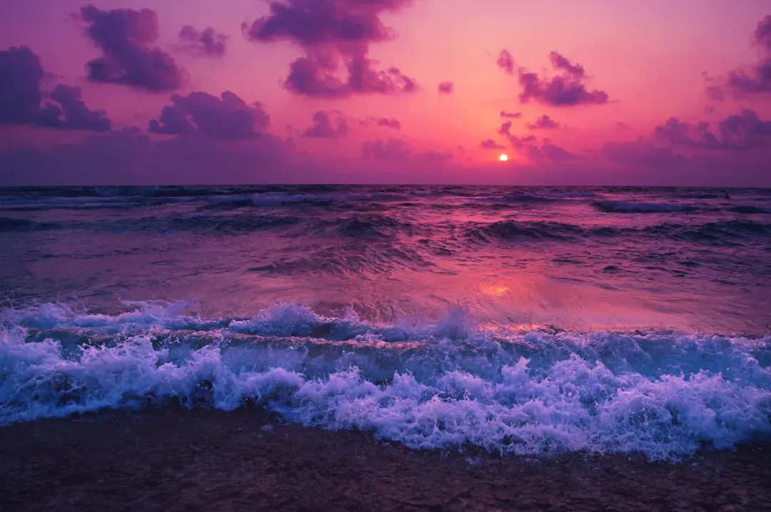 Oceans Without Oxygen: The Deadly Purple Seas (Image Credits: Unsplash)