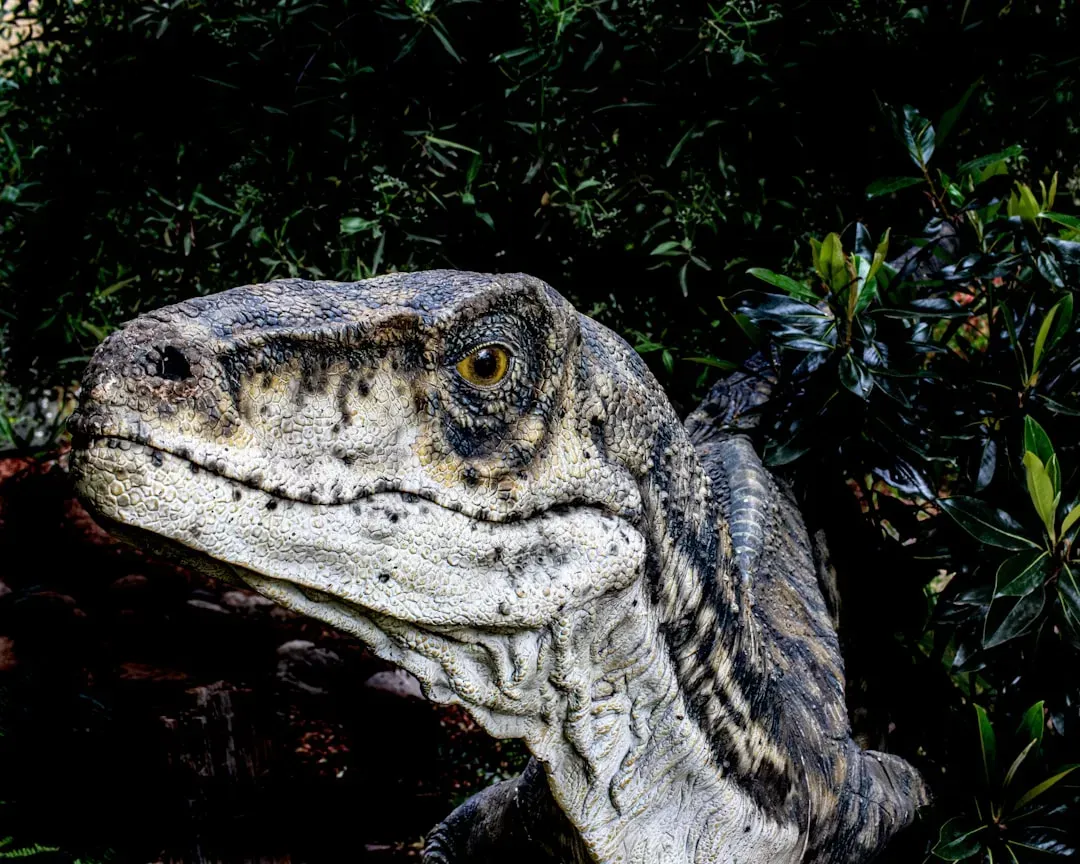 Conclusion: Ancient Creatures, More Complex Than We Imagined (Image Credits: Unsplash)