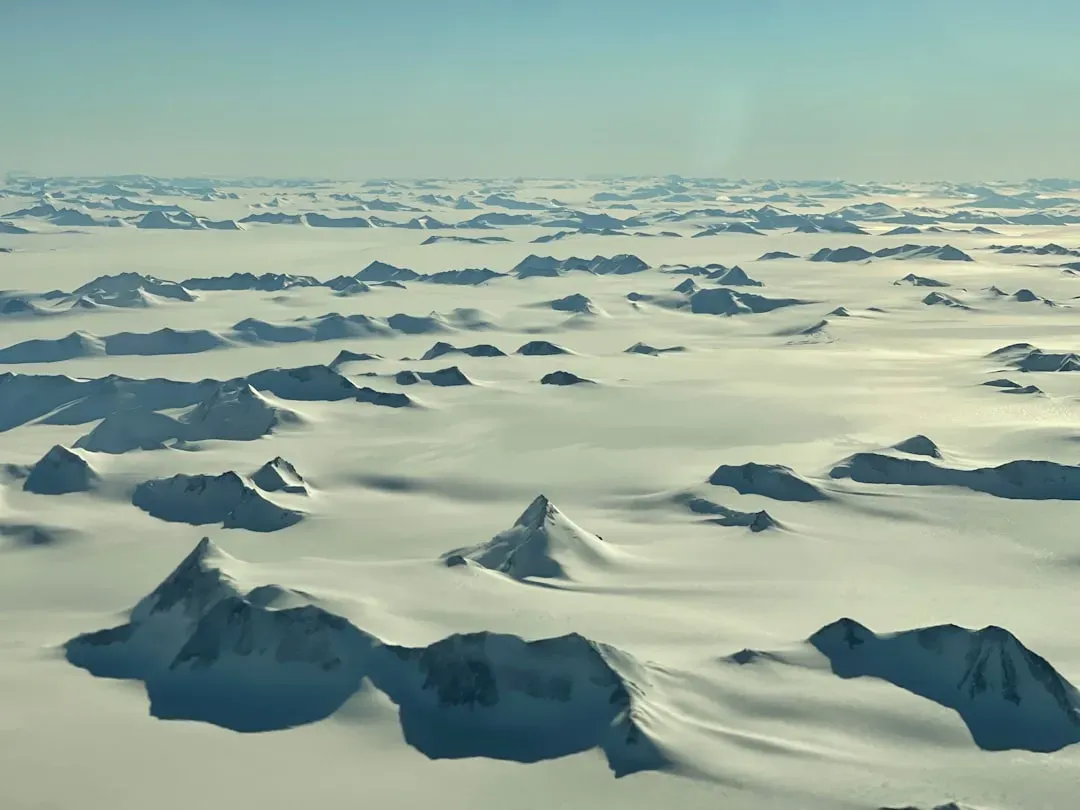 Life in the polar twilight: how plants and animals adapted (Image Credits: Unsplash)
