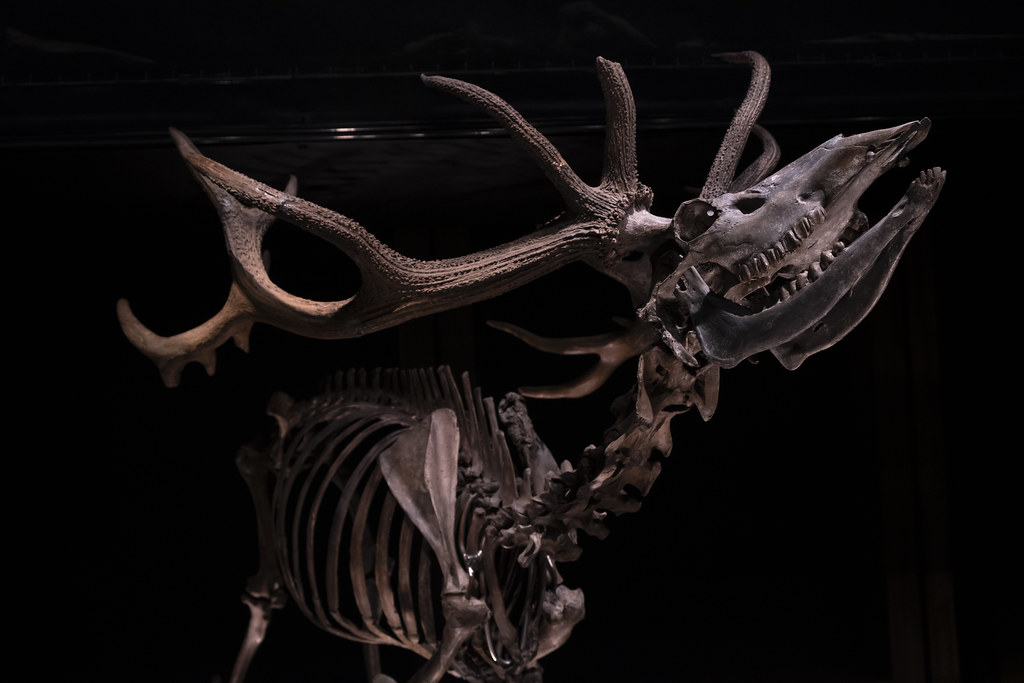 Conclusion (Image Credits: Flickr)