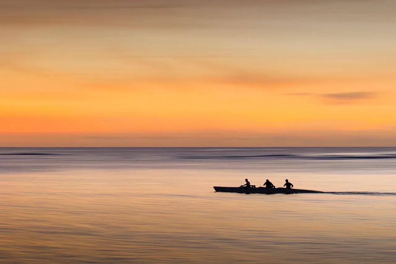 Brains, Culture, and Courage: What Sea Crossings Reveal About Early Humans (Image Credits: Pixabay)