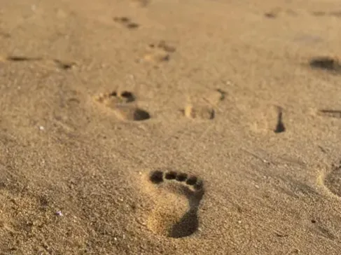 #12 - The Paluxy River "Man Tracks" (Image Credits: Pexels)