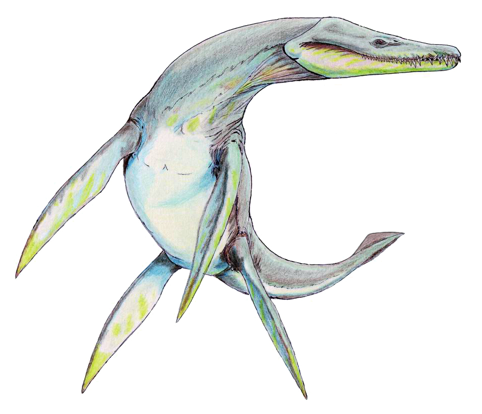 Conclusion (Image Credits: Wikimedia)