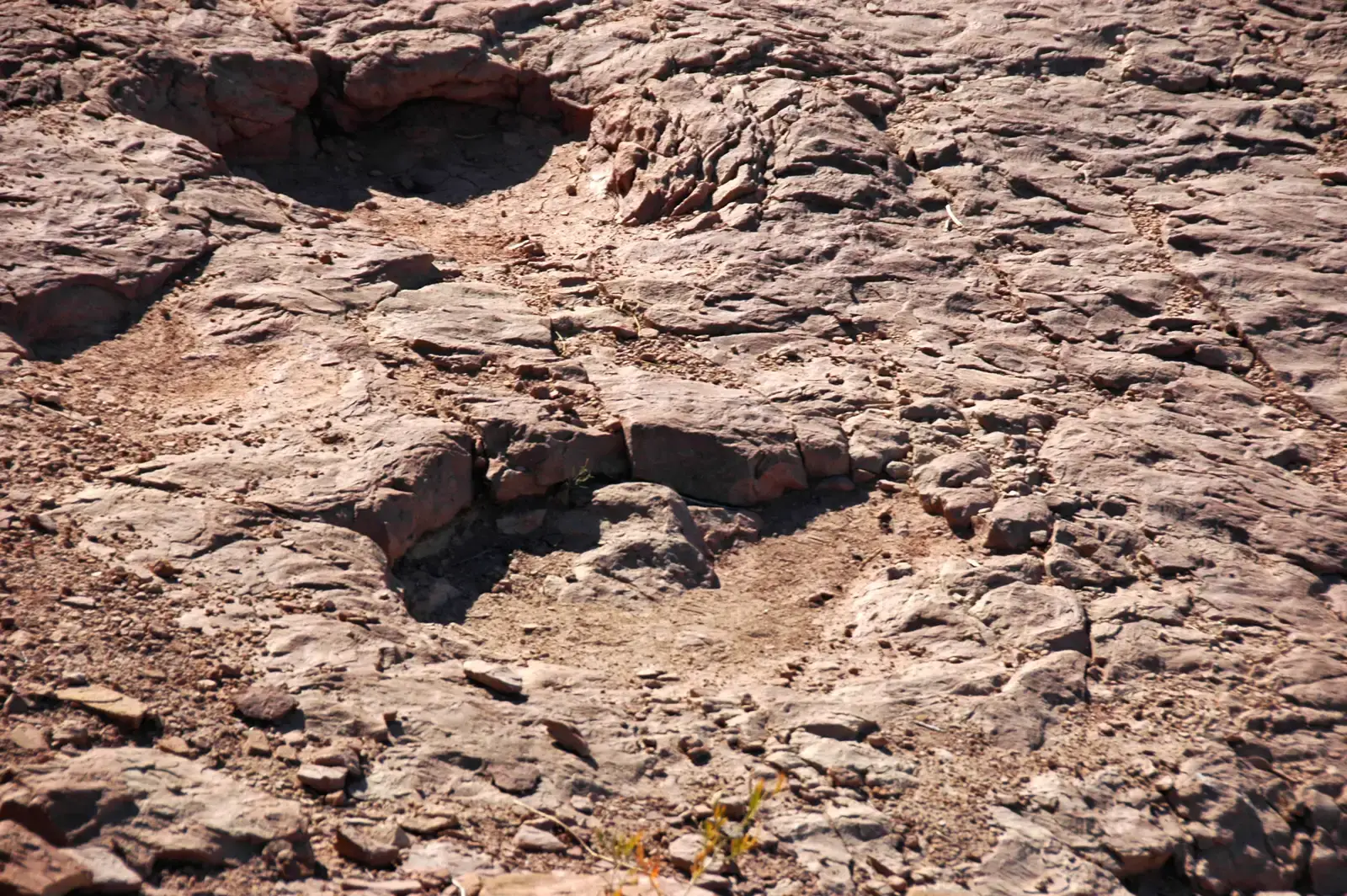 Footprints, Bonebeds, And The First Clues Of Long Journeys (By James St. John, CC BY 2.0)