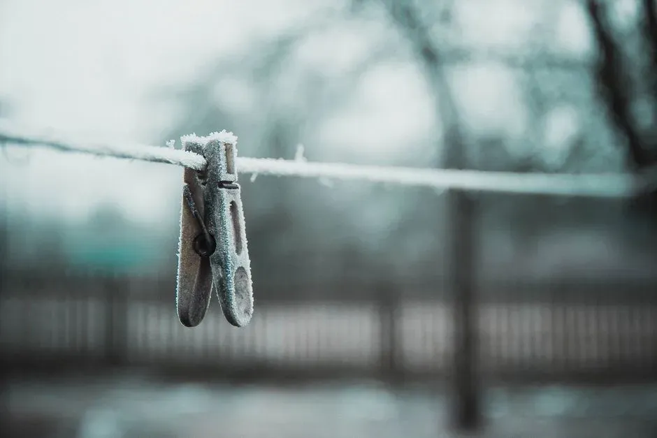 #14 Thin Objects Facing the Sky: Clotheslines, Wires, and Twigs (Image Credits: Pexels)