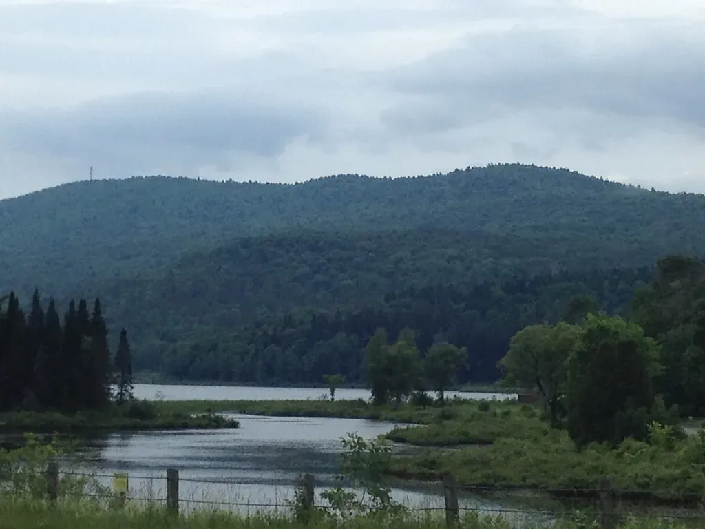 The New England Connection (Image Credits: Flickr)