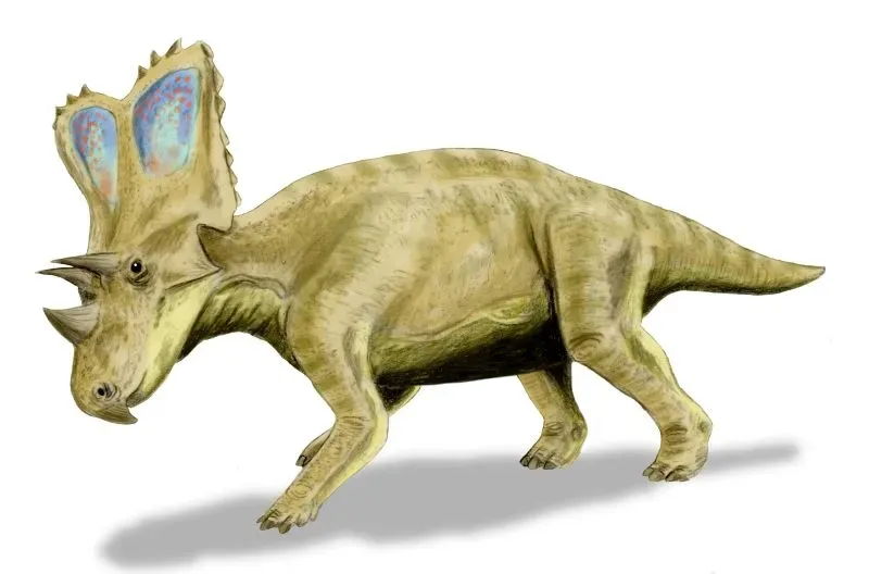 4. Chasmosaurus – The Quiet Shield‑Face Among the Trees (By Nobu Tamura (http://spinops.blogspot.com), CC BY 3.0)