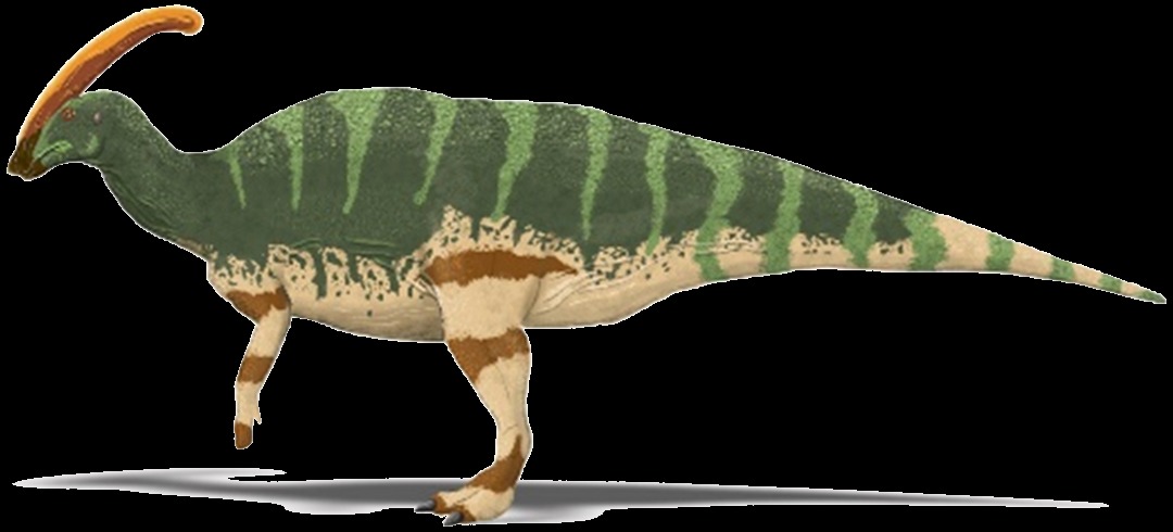 Virgo: The Methodical Parasaurolophus (Image Credits: Wikimedia)