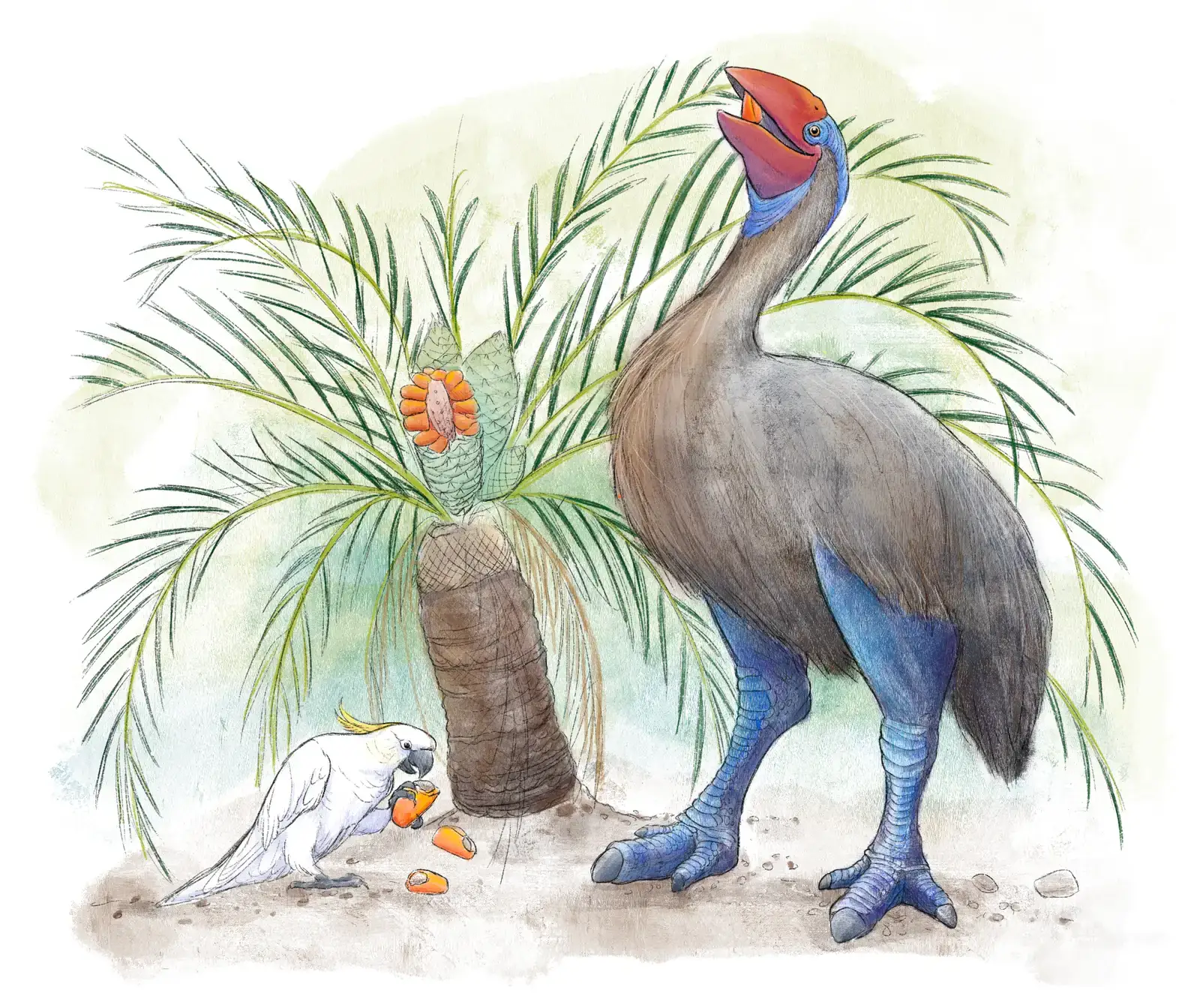 The Aboriginal Australians: The World's Longest Coexistence with Megafauna (By Nellie Pease/CABAH, CC BY-SA 4.0)