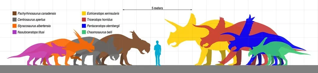 Older Than Triceratops: Why “Eo” Matters (Zachi Evenor, Flickr, CC BY-SA 2.0)