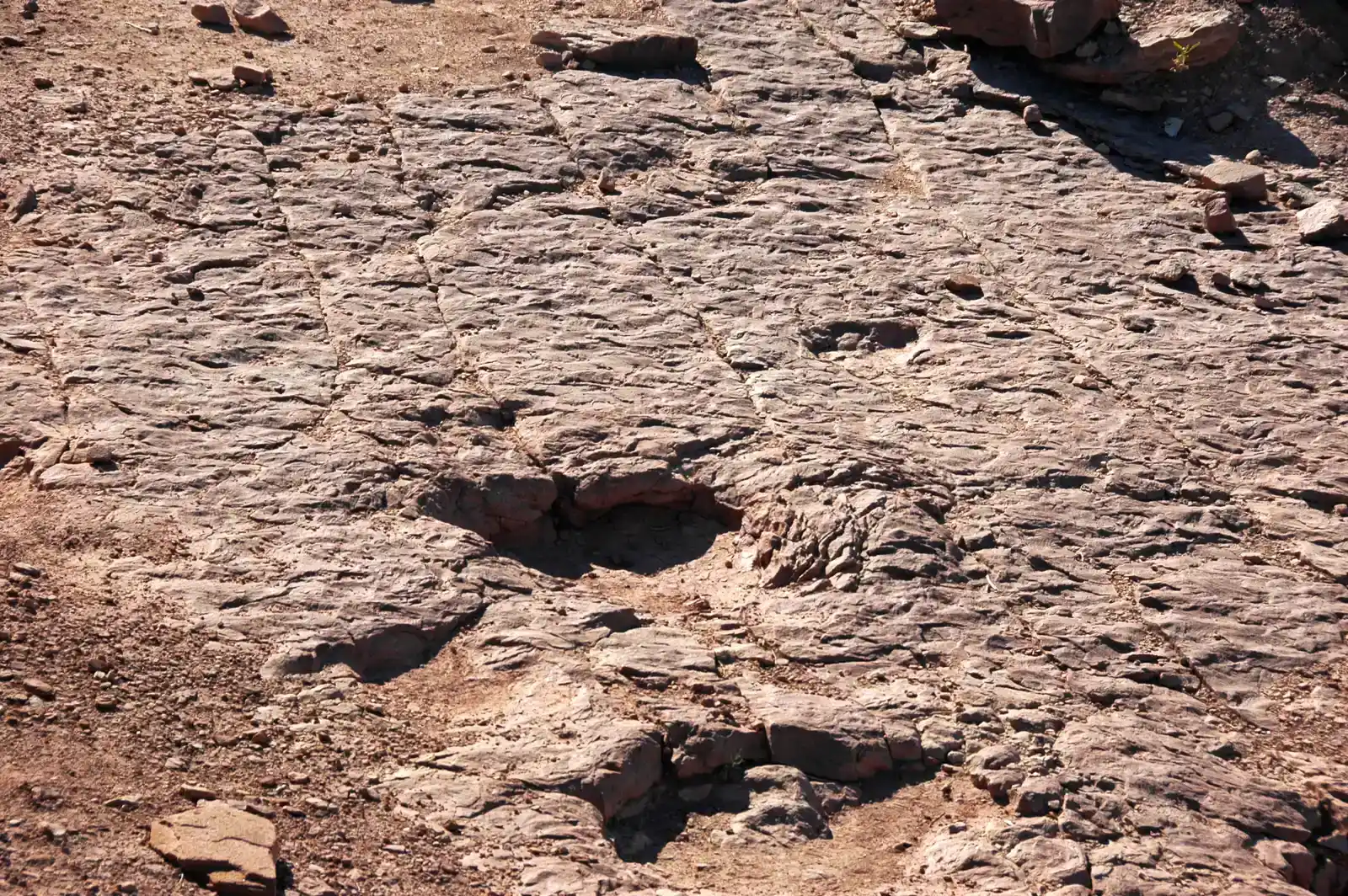 Reading Speed, Gait, and Movement From Ancient Tracks (By James St. John, CC BY 2.0)