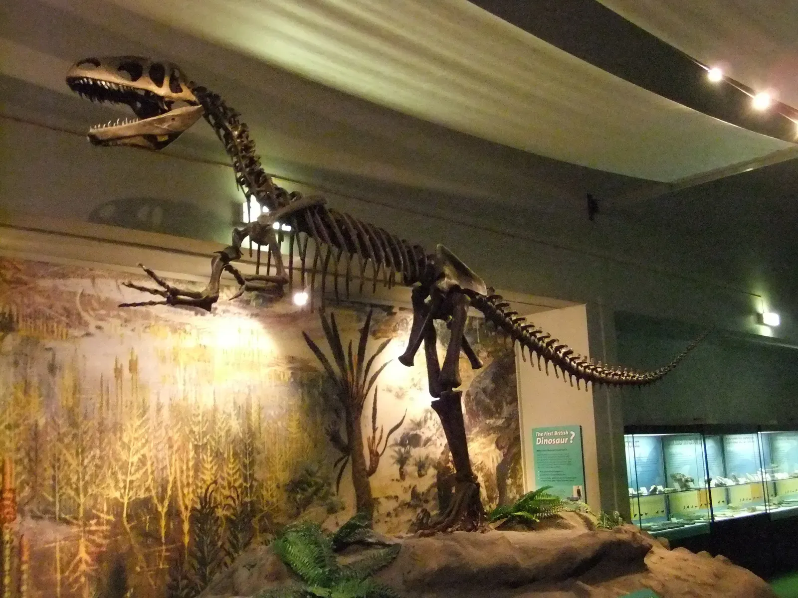 1. Megalosaurus: The Discovery That Named an Entire Kingdom (1824) (By Rept0n1x, CC BY-SA 3.0)