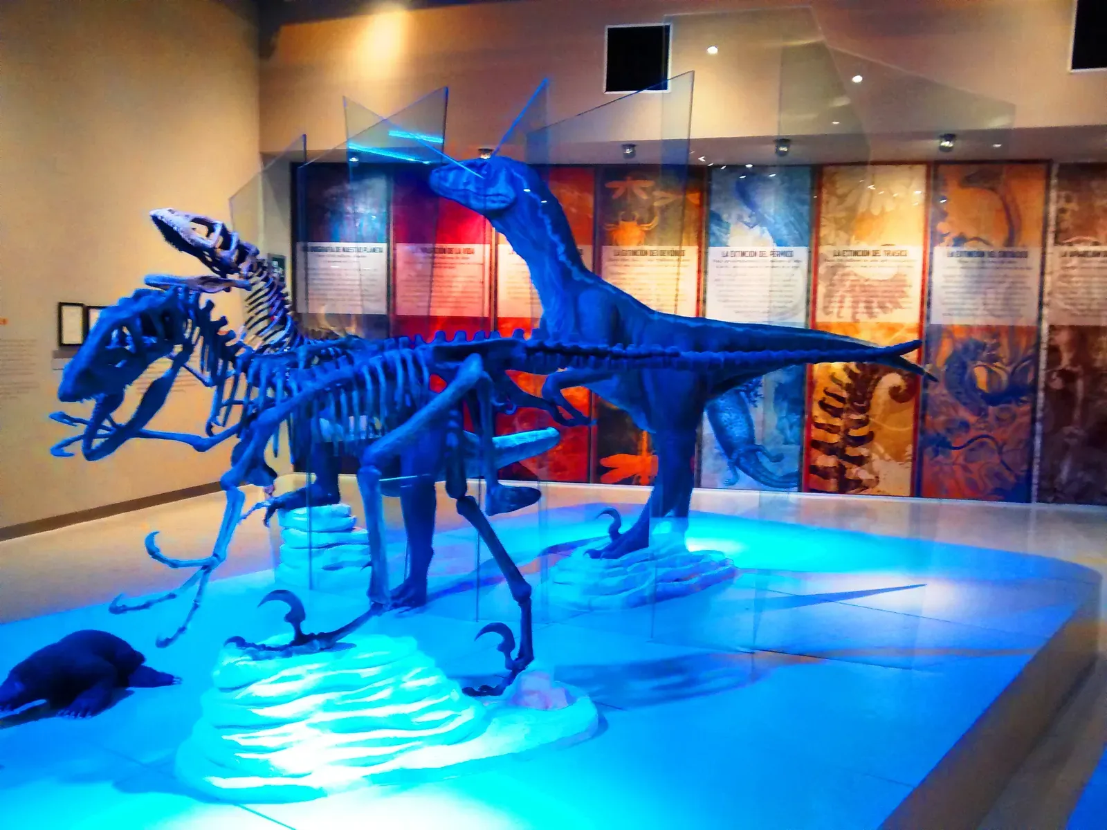 Pack Hunters or Loners? The Debate Around Carnivorous Dinosaurs (By Escalante-Pasos, CC BY-SA 4.0)