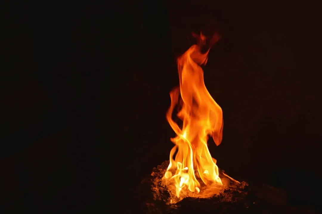 #14 - Fire-Sharing Rules the Ashes Never Wrote Down (Image Credits: Unsplash)