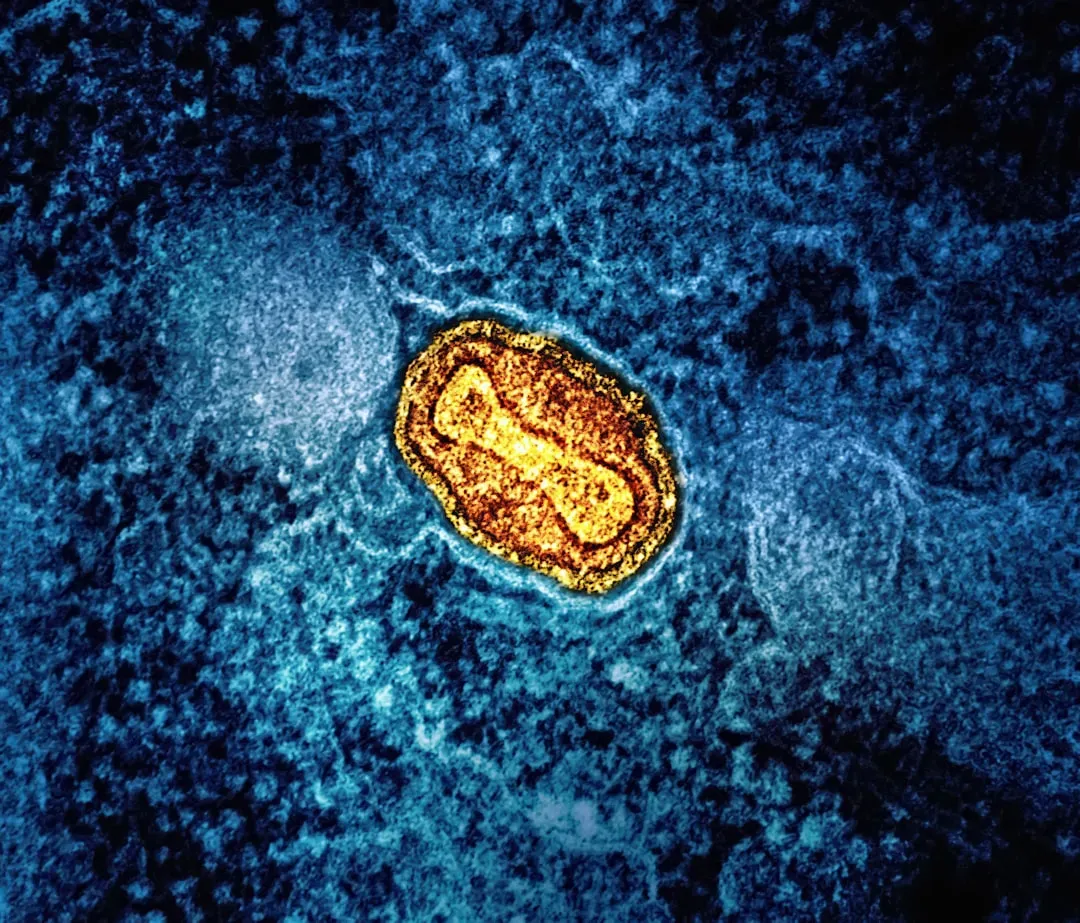 Endosymbiosis: When One Cell Accidentally Moved In and Never Left (Image Credits: Unsplash)