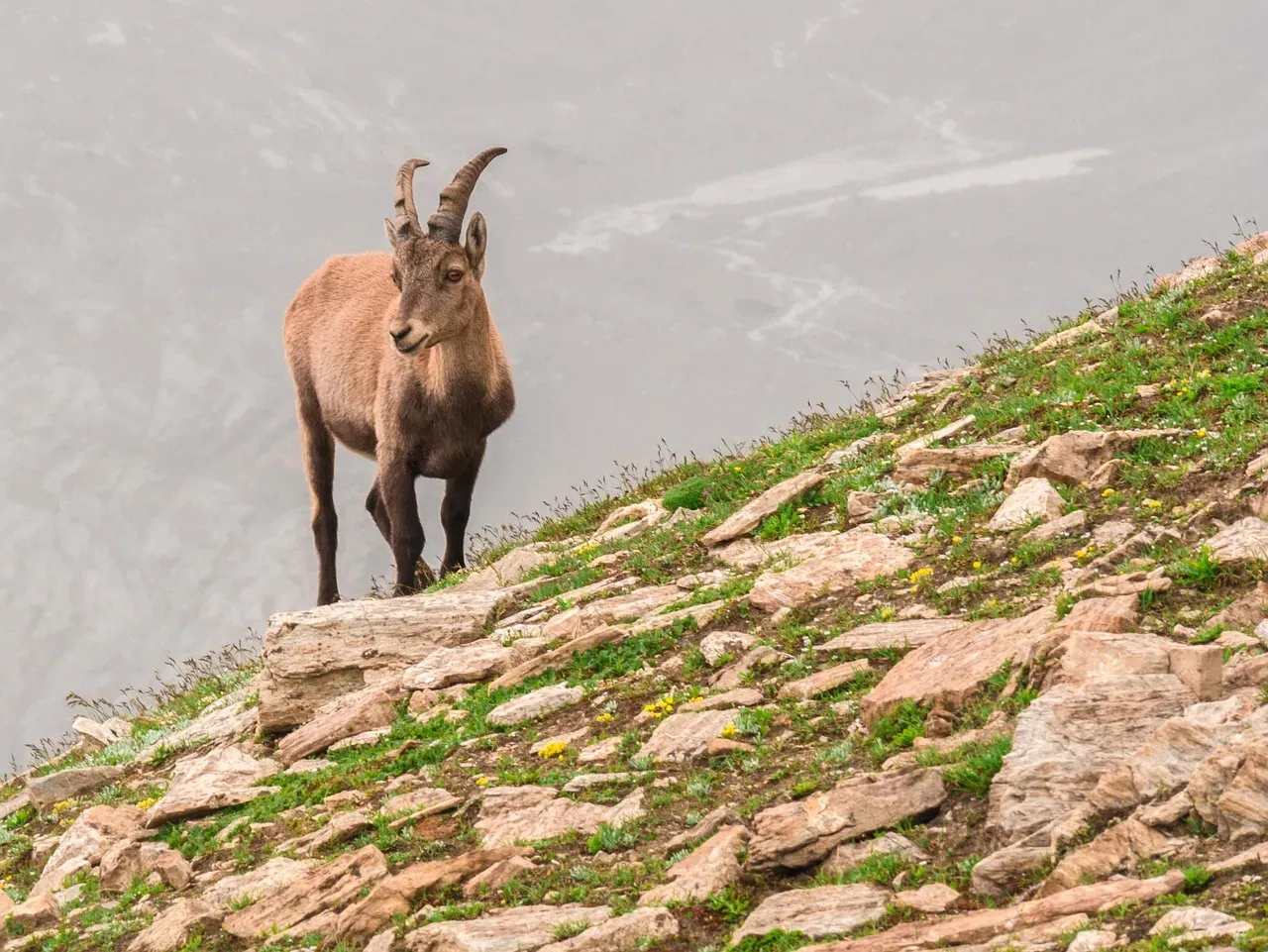 Recognizing When an Encounter Actually Means Something (Image Credits: Pixabay)