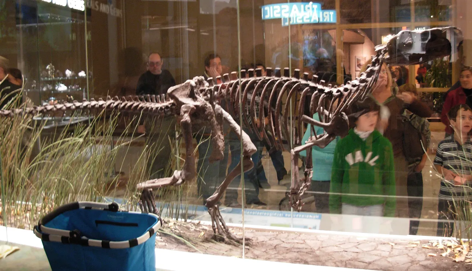 The First Dinosaurs: Modest Beginnings, Not Movie Monsters (By User:Piotrus, CC BY-SA 3.0)