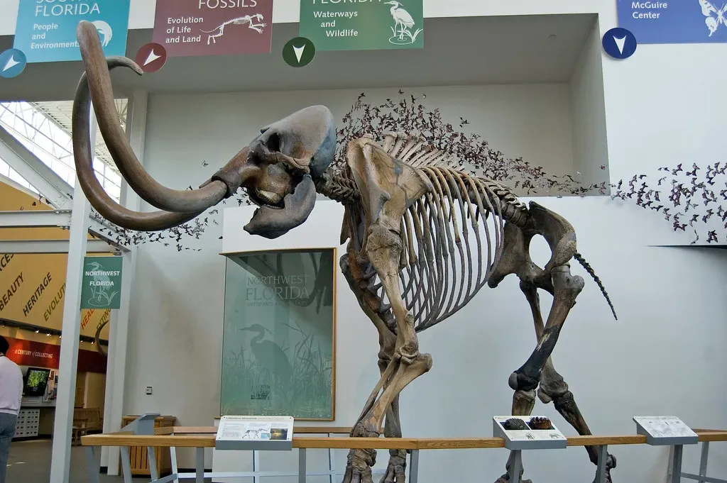 6. The Maya and Other Mesoamerican Cultures Facing Ancient Giants (greaterumbrage, Flickr, CC BY 2.0)