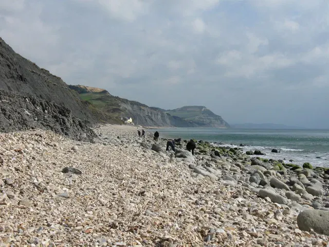 How storms turn an ordinary beach walk into a fossil hunt (From geograph.org.uk, CC BY-SA 2.0)