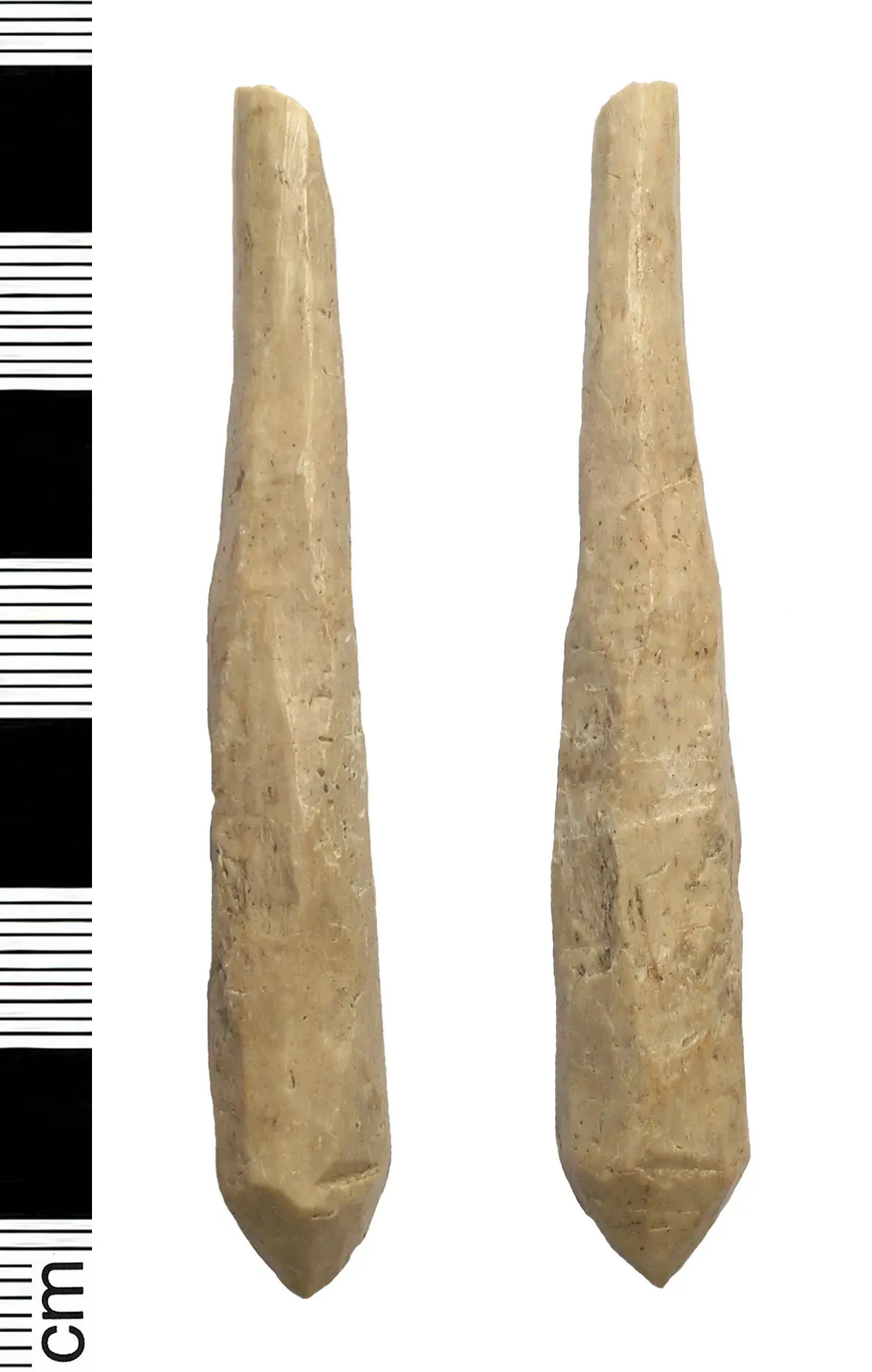 #9 - The Carved "Cricket Bat" Tool That Proved Nothing (By The Portable Antiquities Scheme, Julian Watters, 2007-05-14 16:30:34, CC BY-SA 4.0)