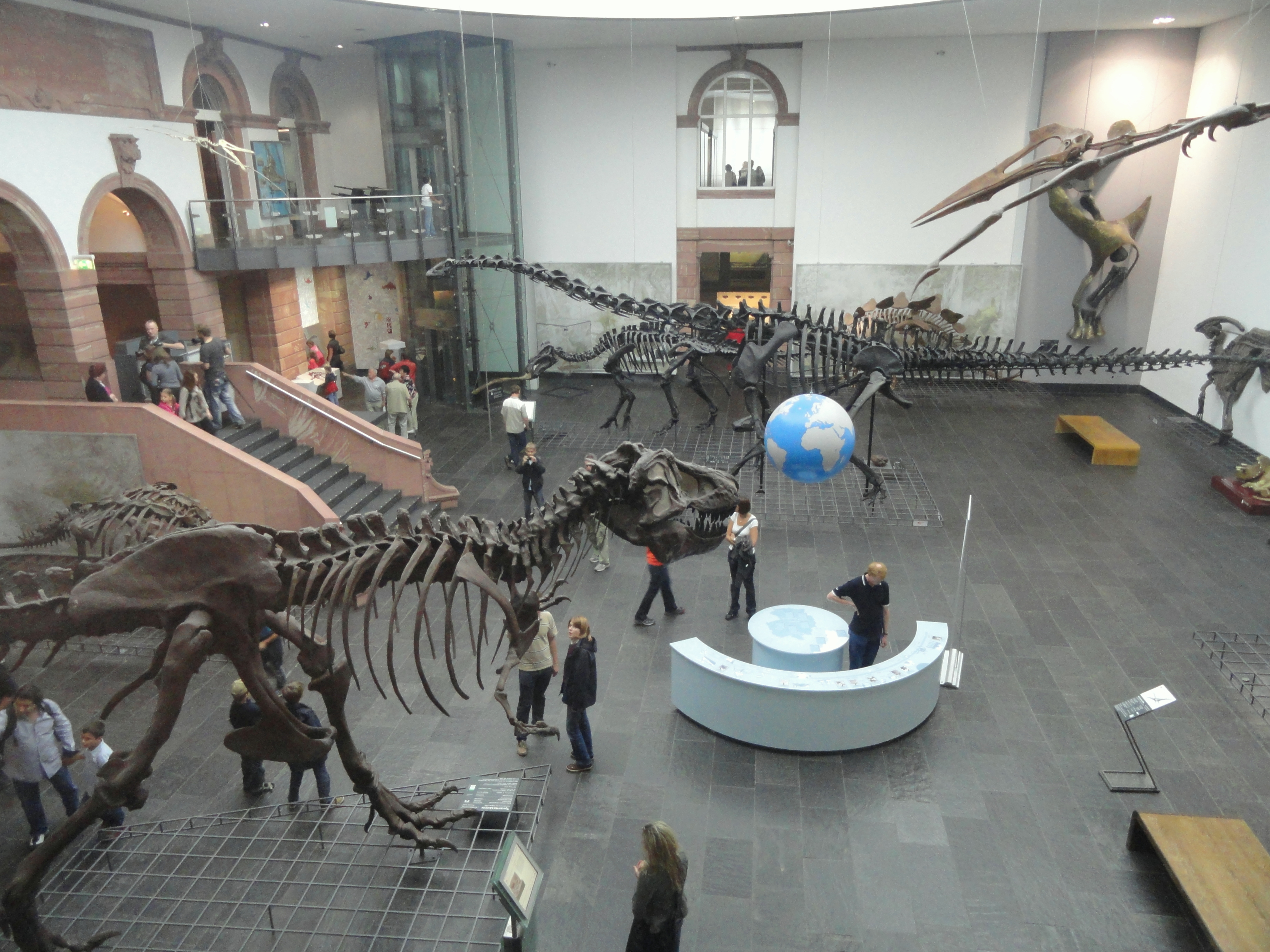 Senckenberg Natural History Museum, Frankfurt: European Fossil Excellence (Image Credits: Wikimedia)