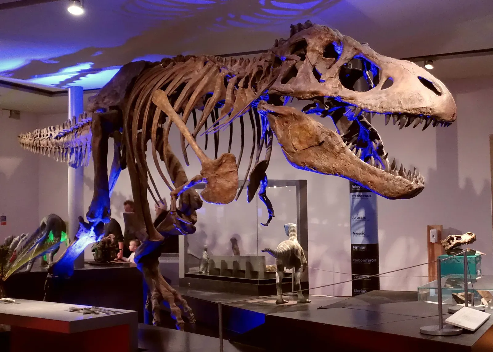 The King of Dinosaurs Had a Rocky Start (Image Credits: Wikimedia)