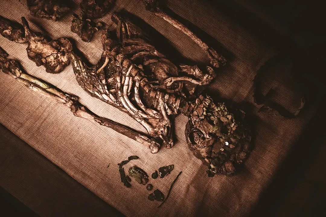 #5 - The Infant Grave at Roc de Marsal That Keeps Getting Reversed (Image Credits: Unsplash)