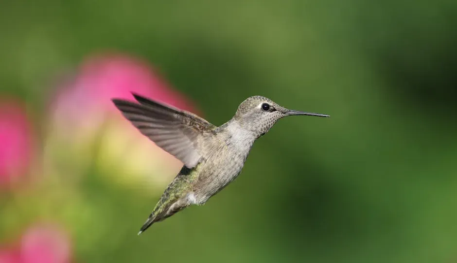 Diet, Energy, and the High-Cost Leap Into the Air (Image Credits: Pexels)