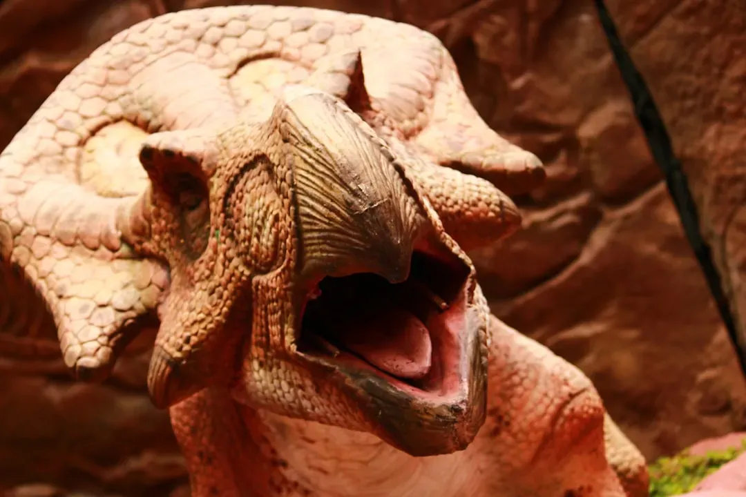 What This Means for Understanding Dinosaur Social Behavior (Image Credits: Unsplash)