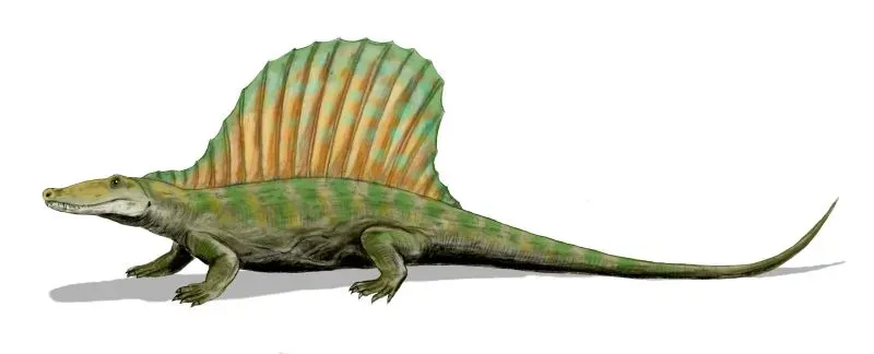 Edaphosaurus: The Peaceful Sail-Back Giant (Image Credits: Wikimedia)