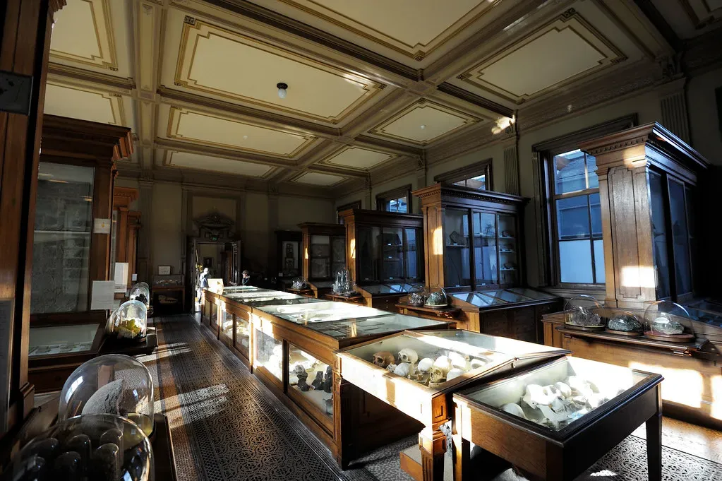 #9 - For Every Fossil Site You've Heard Of, 23 More Are Hiding on Shelves (koopmanrob, Flickr, CC BY-SA 2.0)