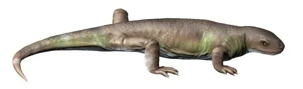 The Revolutionary Transition From Carnivore to Plant-Eater (Image Credits: Wikimedia)