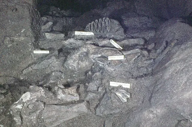8. Human–Animal Interactions Recorded in Cave Deposits (From geograph.org.uk, CC BY-SA 2.0)