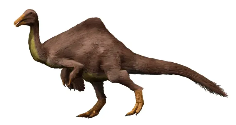Deinocheirus: The Dinosaur That Made No Sense (Until It Did) (By Nobu Tamura, CC BY-SA 4.0)