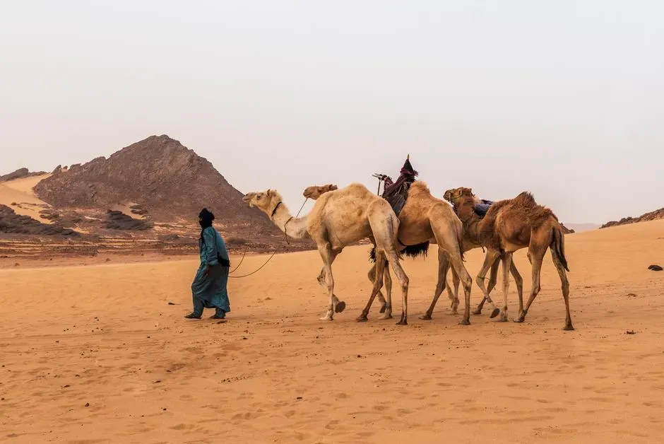 Risk, resilience, and why distant allies mattered (Image Credits: Pexels)