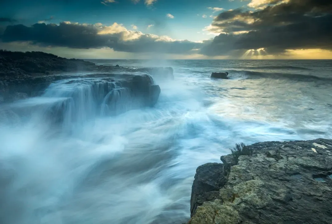 Why This Ancient World Matters More Than T. rex’s Stardom (Image Credits: Unsplash)