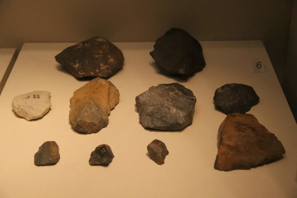 5. Prehistoric Brains Hacked Tools the Way We Hack Software (Image Credits: Flickr)