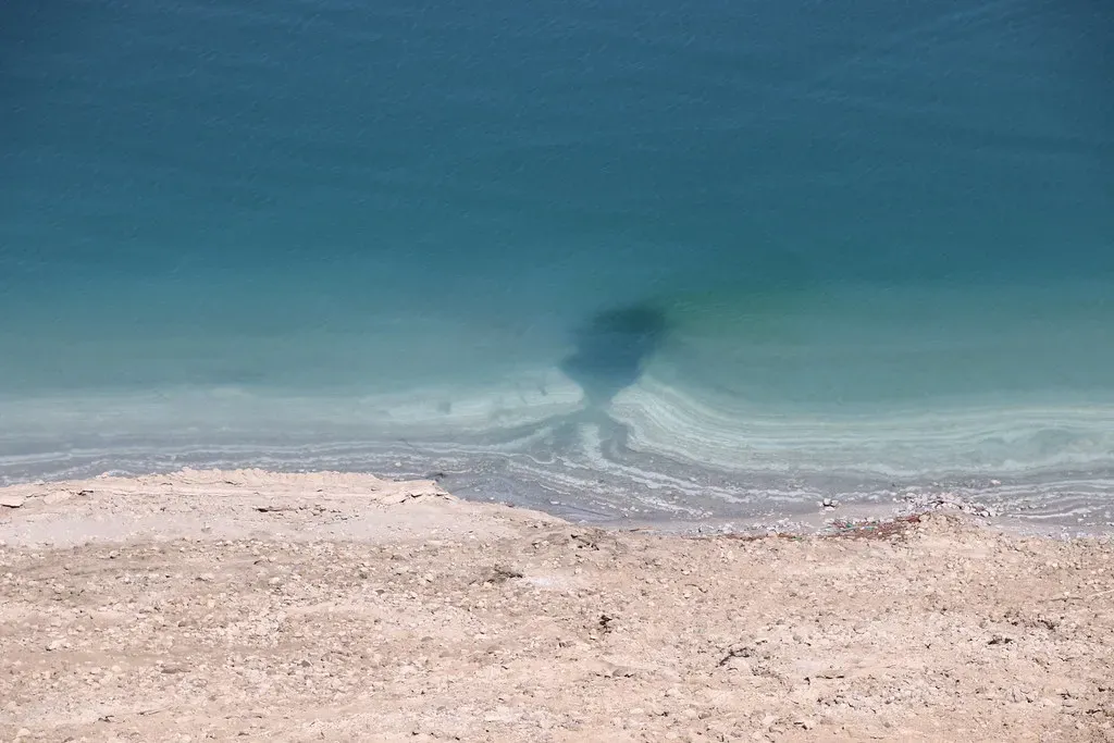 Ocean Suffocation: When Waters Turn Deadly (Image Credits: Flickr)