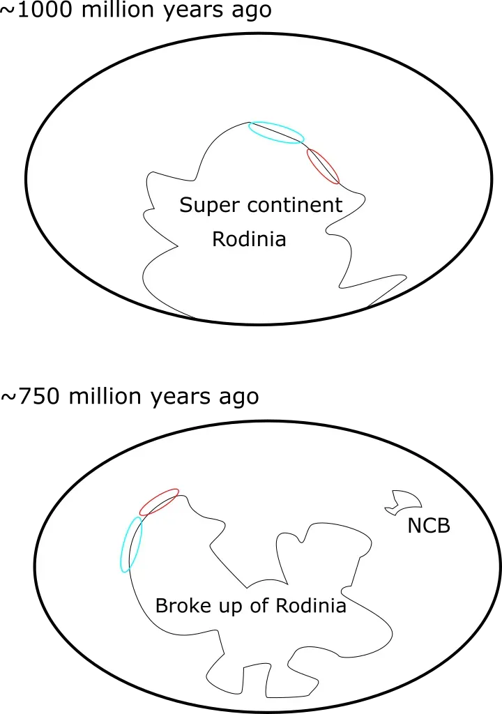 The Breakup of Rodinia May Have Triggered Snowball Earth (Image Credits: Wikimedia)