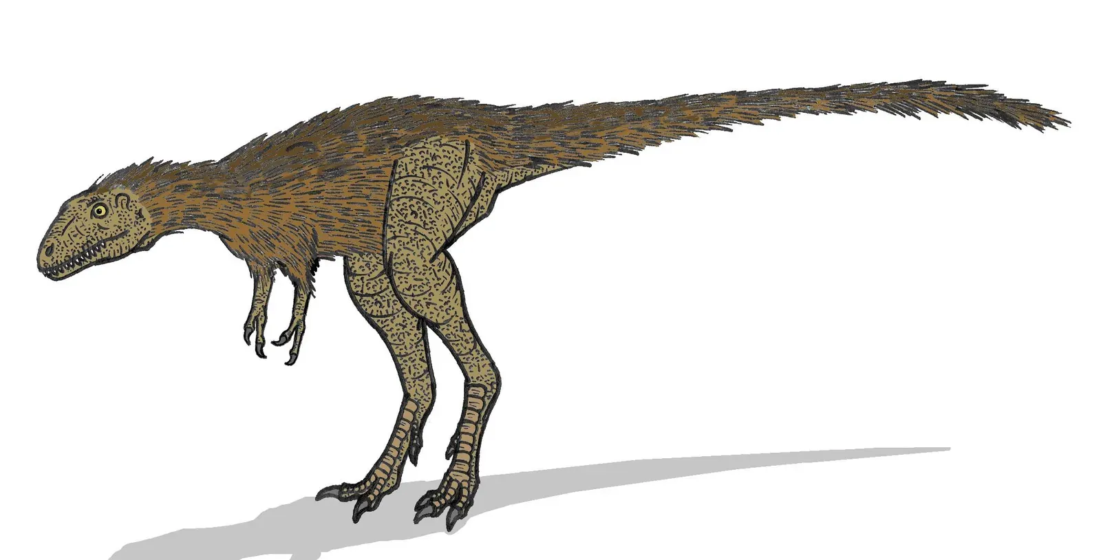 #12 - Raptorex: The "Mini T. Rex" That May Never Have Existed (By Conty, CC BY 3.0)